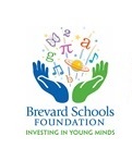 BSF logo
