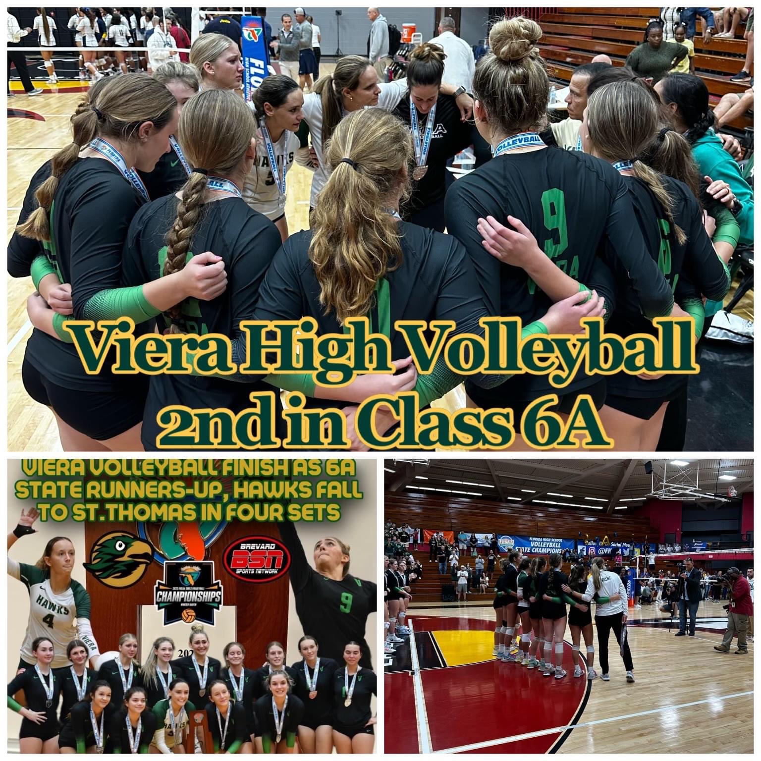 Viera Volleyball graphic