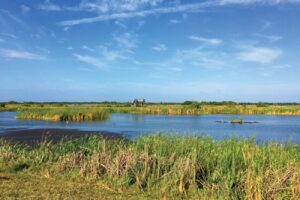 Viera Wetlands Photo
